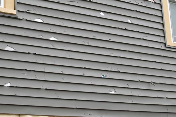 Best Steel Siding Installation  in Azusa, CA